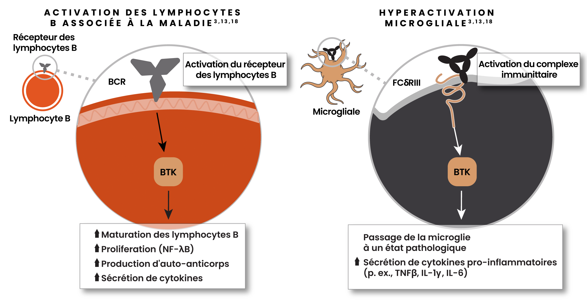 Illustration montrant l’activation associée à la maladie de la microglie avec activation du complexe immun