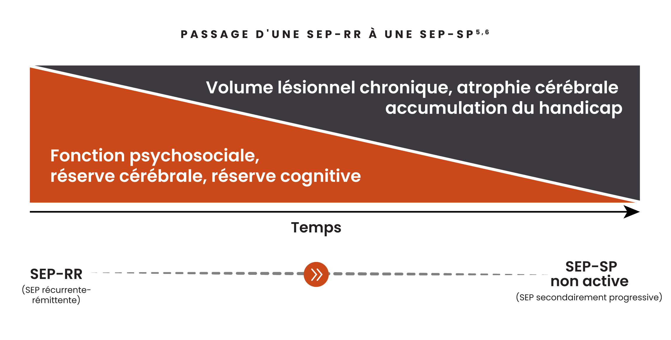 Illustration montrant l’impact de l’accumulation du handicap au fil du temps, incluant l’augmentation du volume des lésions chroniques, l’atrophie cérébrale, l’accumulation du handicap et la diminution de la fonction socioémotionnelle, de la réserve cérébrale et de la réserve cognitive chez les patients atteints de SEP-RR et de naSEP-SP.